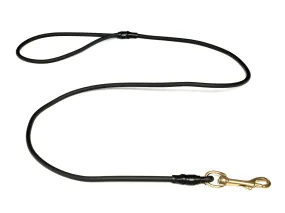 ** NEW Mystique® Biothane Clip Lead