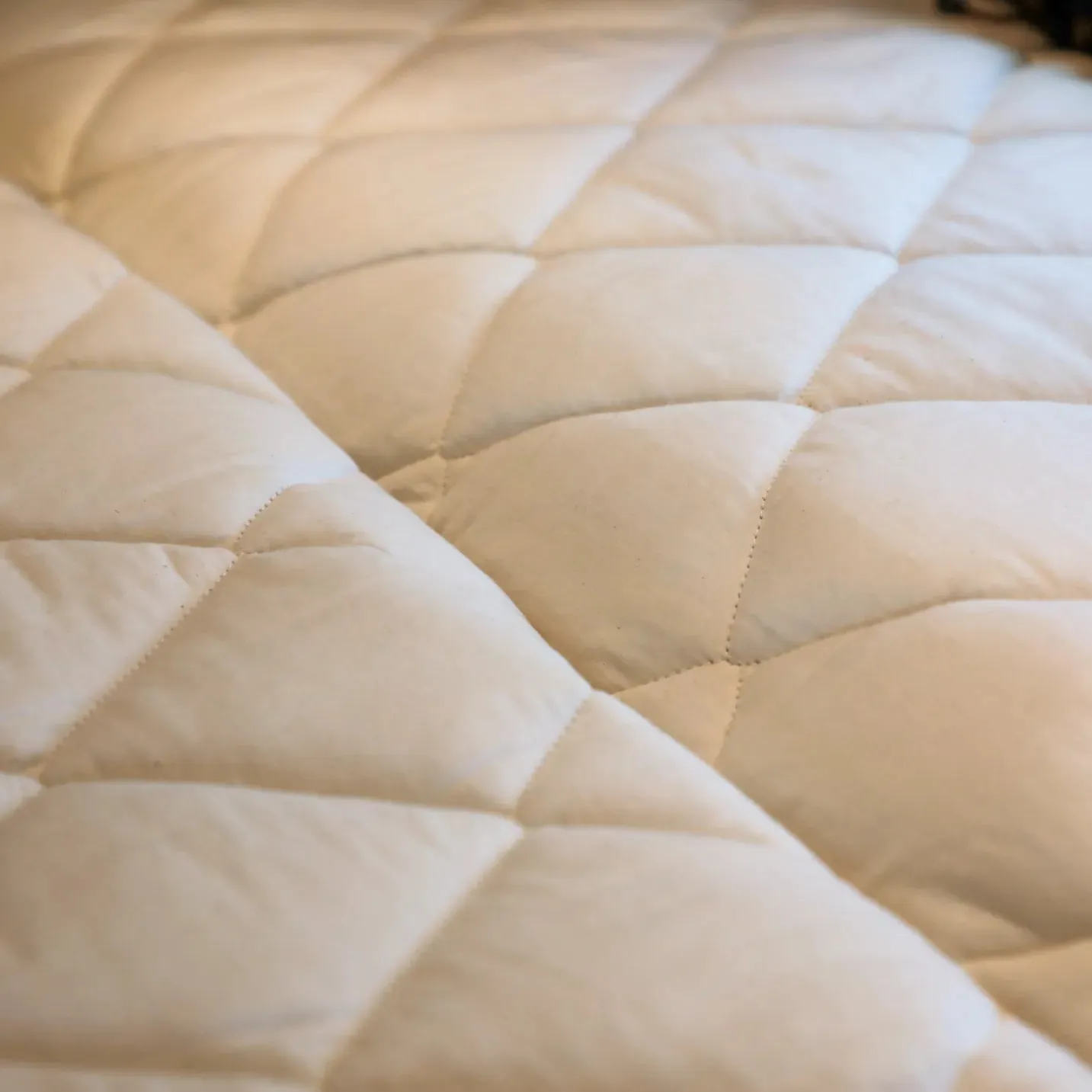 Ultra Luxe Mattress Protector Pad